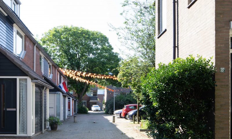 Bekijk foto 4 van Dag Hammerskjöldstraat 27